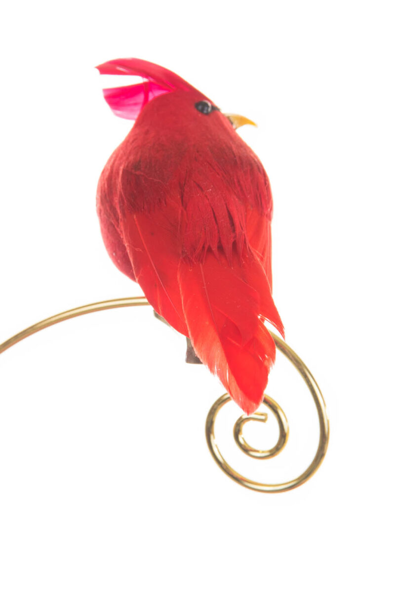 Grumpy Perched Red Clip-on Cardinal Ornament - Image 2