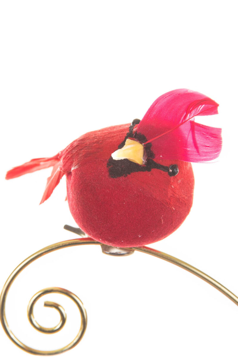 Grumpy Perched Red Clip-on Cardinal Ornament - Image 3