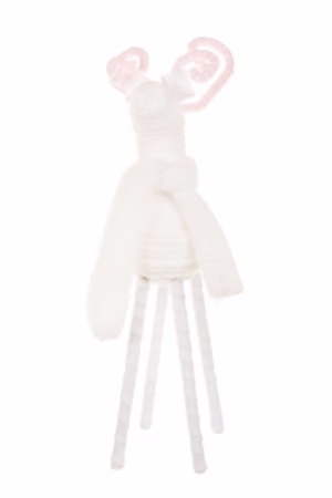 White Reindeer