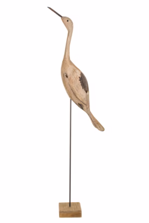 Umber Crane Bird
