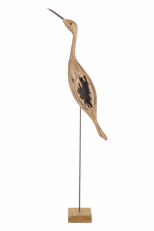 Umber Crane Bird