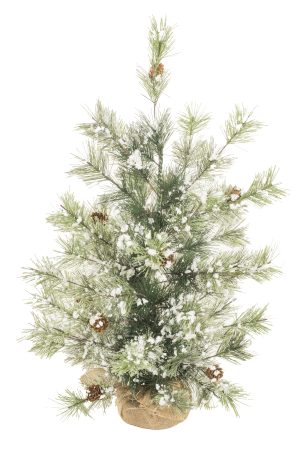Table-top Green Grand Fir Tree With Pinecones