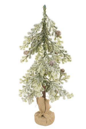 Table-top Green Douglas Fir Tree With Pinecones