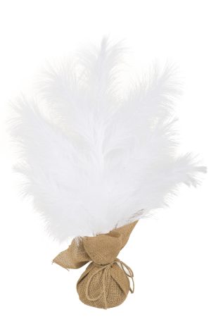 Table-top White Virginia Pine Tree