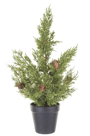 Table-top Green Arizona Cypress Tree With Pinecones
