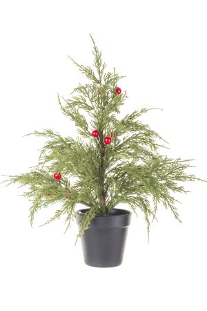 Table-top Green Leyland Cypress Tree With Berries