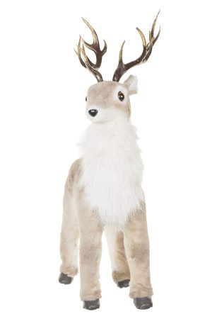 Standing Brown Reindeer With Furry Dewlap