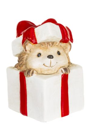 White Cute Hedgehog In Gift Box