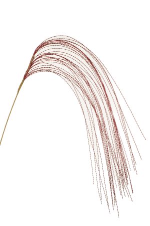 Ruby Tassled Streamers Tree Pick