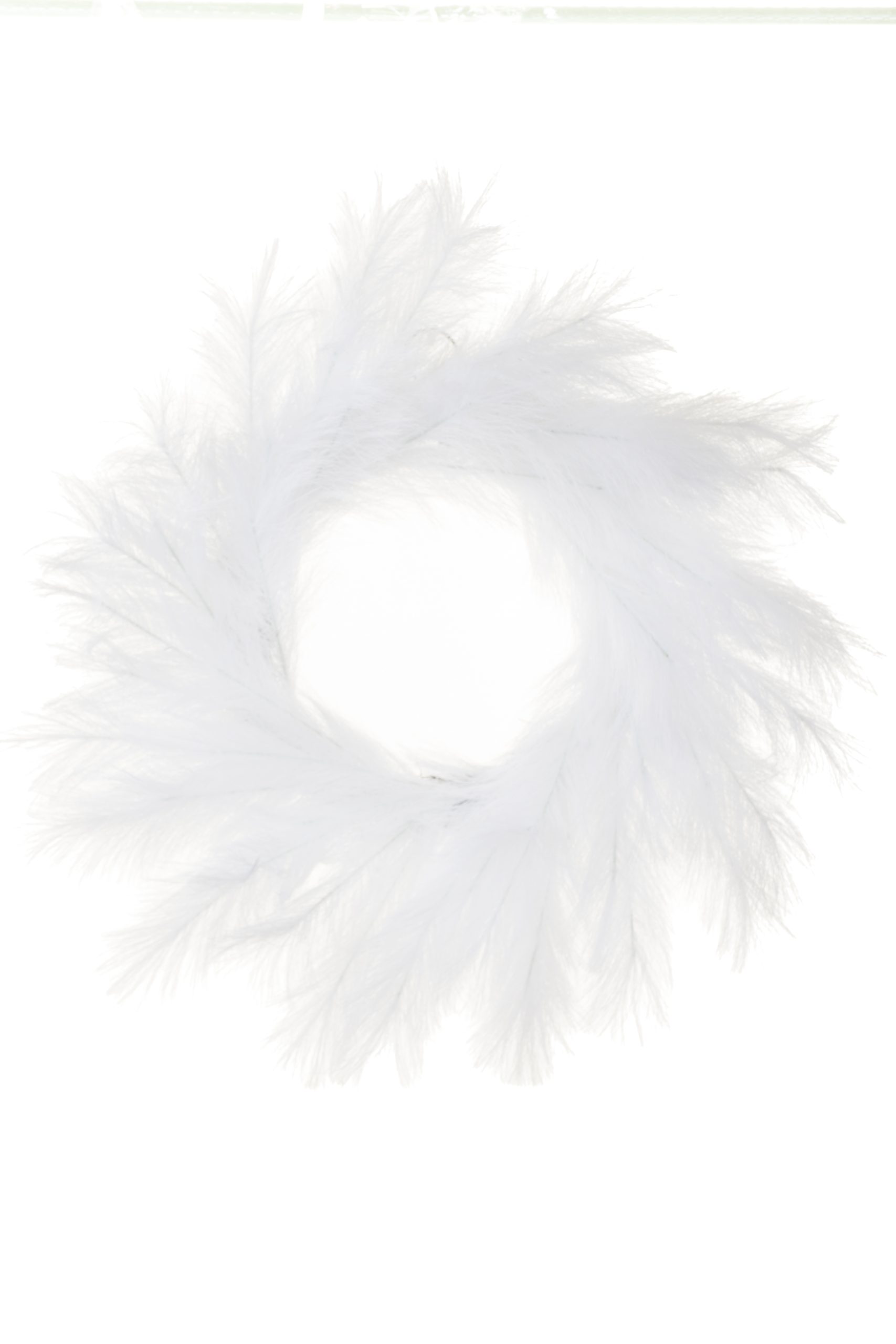 White Pampas Grass Wreath