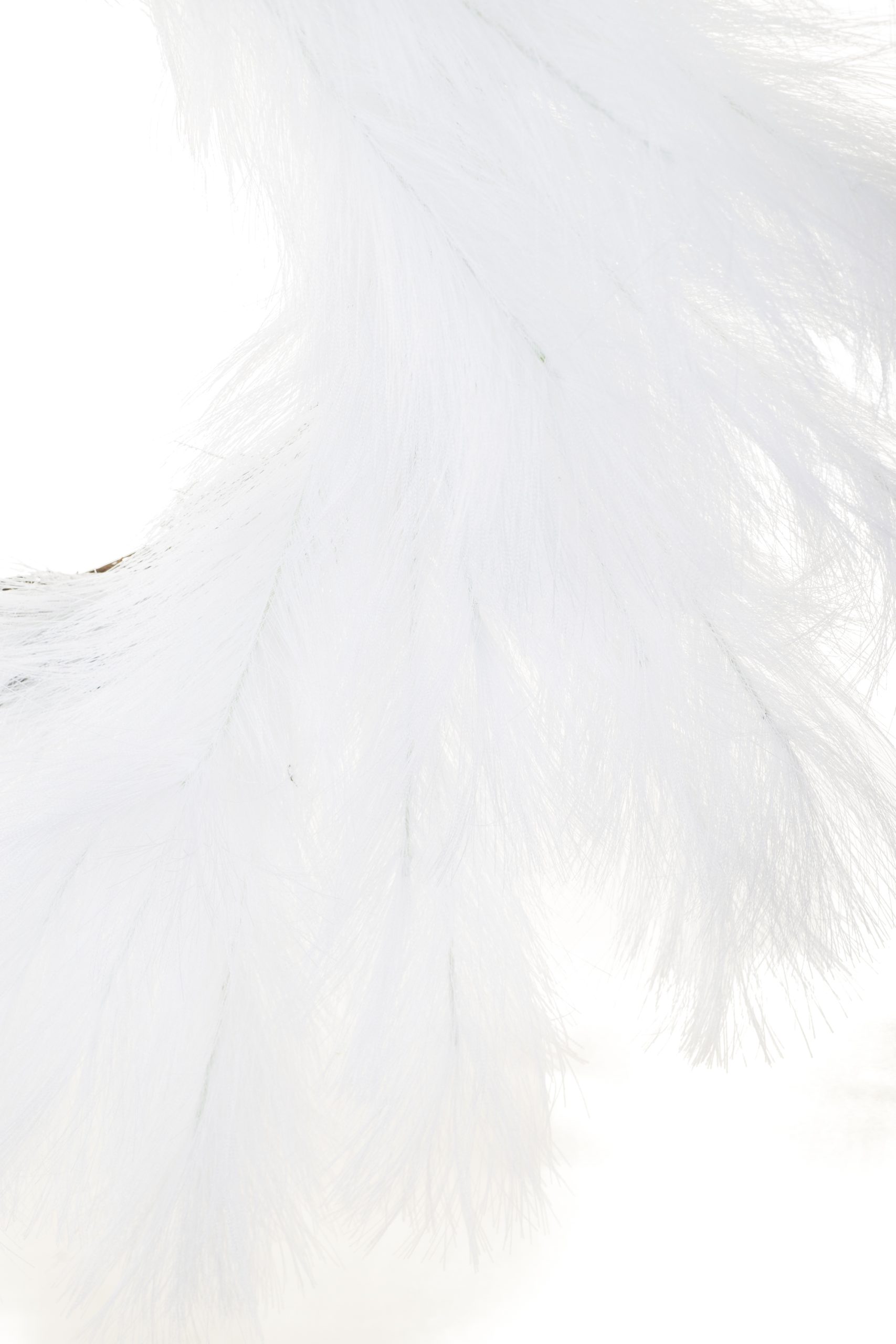 White Pampas Grass Wreath - Image 3