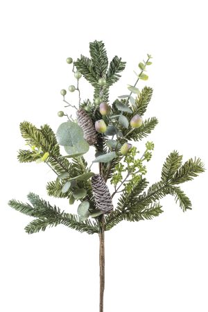 Green Balsam Fir Tree Pick With Olives