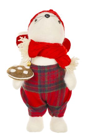 Red Adorable Mouse With Cookie