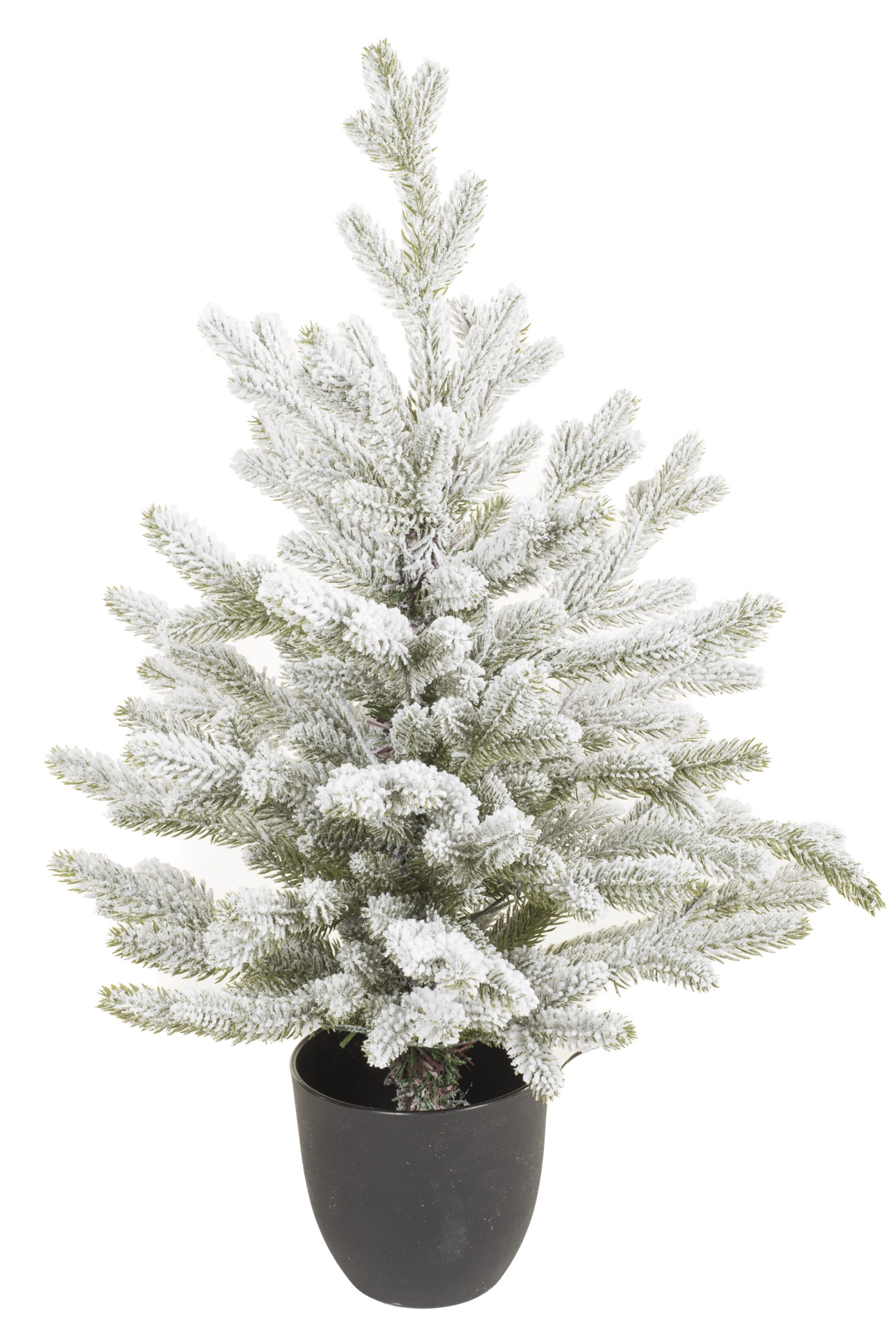 Table-top Green Fraser Fir LED Tree