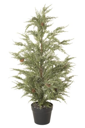 Green Balsam Fir Mini Christmas Tree With Frosted Base And Tips